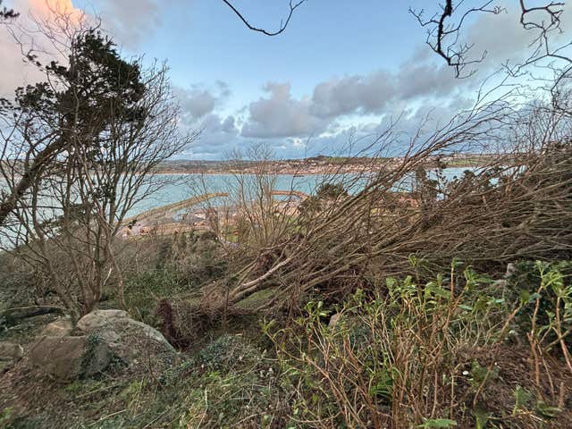 Winter weather Jan 9th 2026