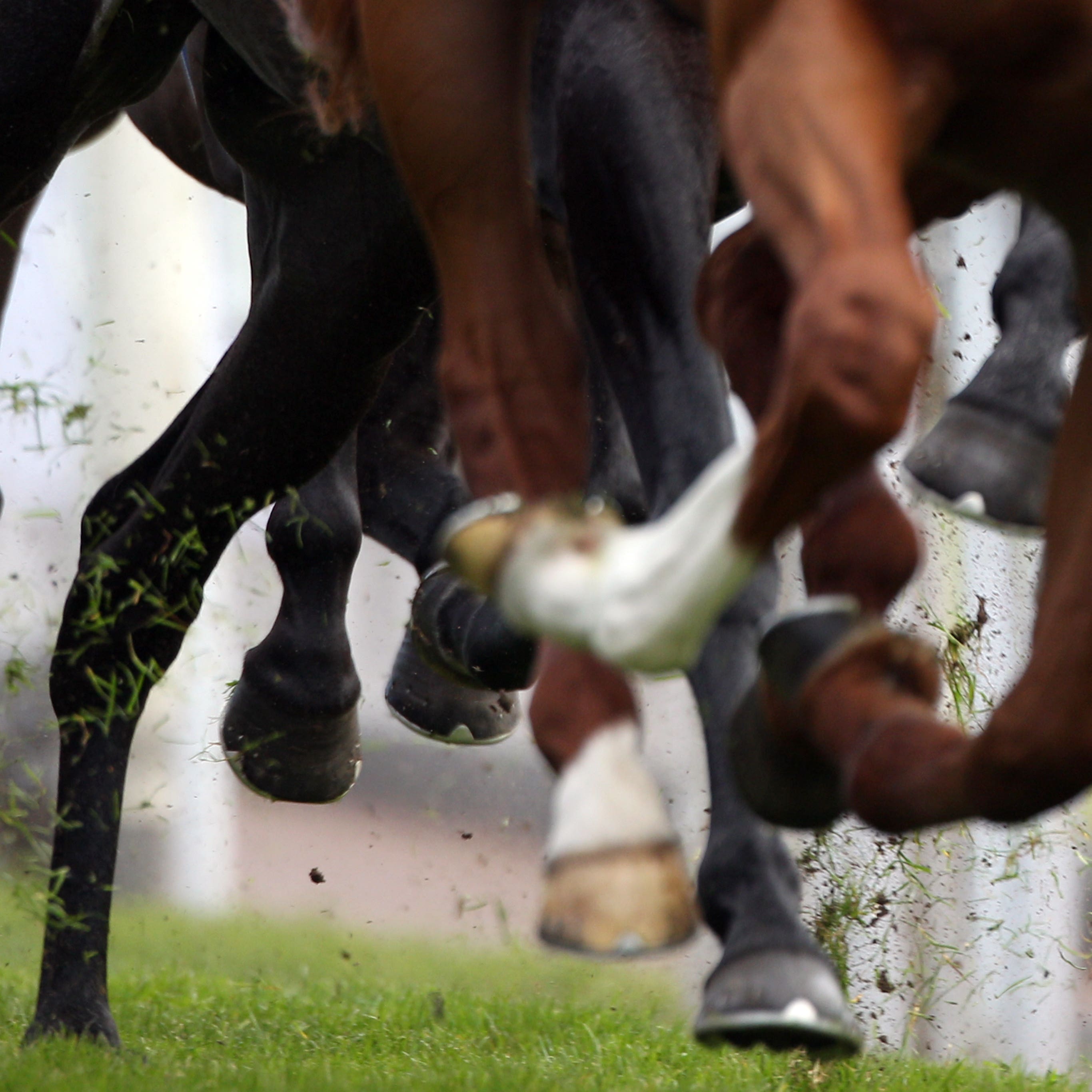 Robin Bastiman has been disqualified from racing for three years
