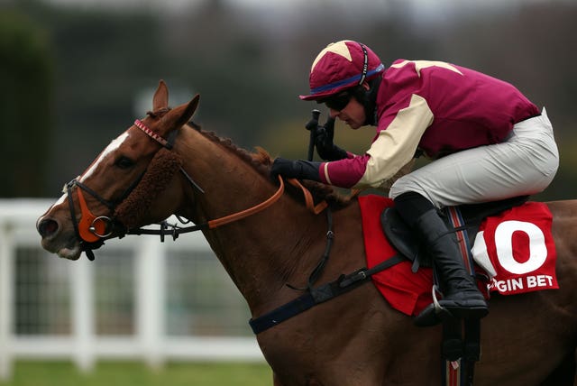 Castle Robin winning at Sandown