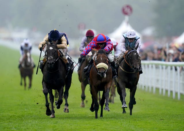 Purosangue (left) in the Molecomb Stakes at Goodwood