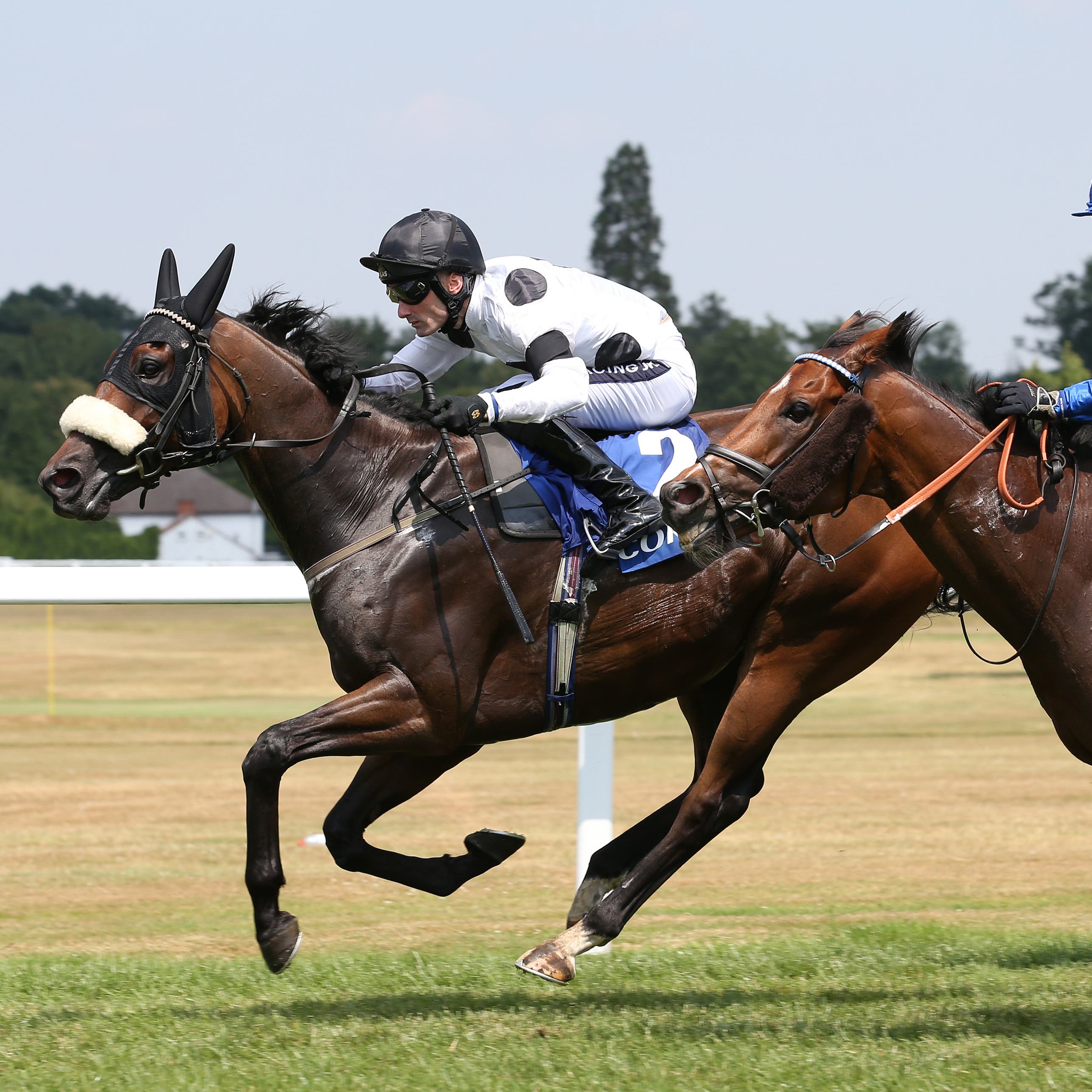 Judicial (left) winning the Coral Charge at Sandown