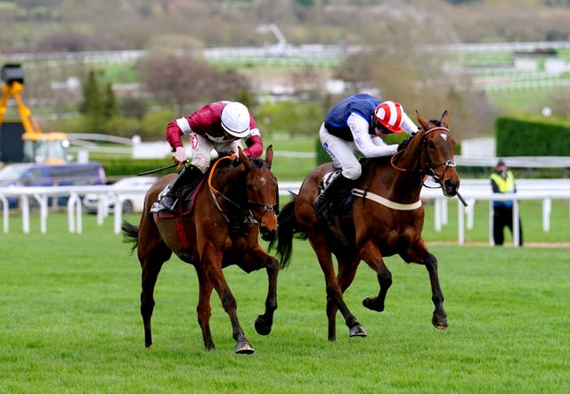 Stellar Story (left) pipped The Jukebox Man at Cheltenham 