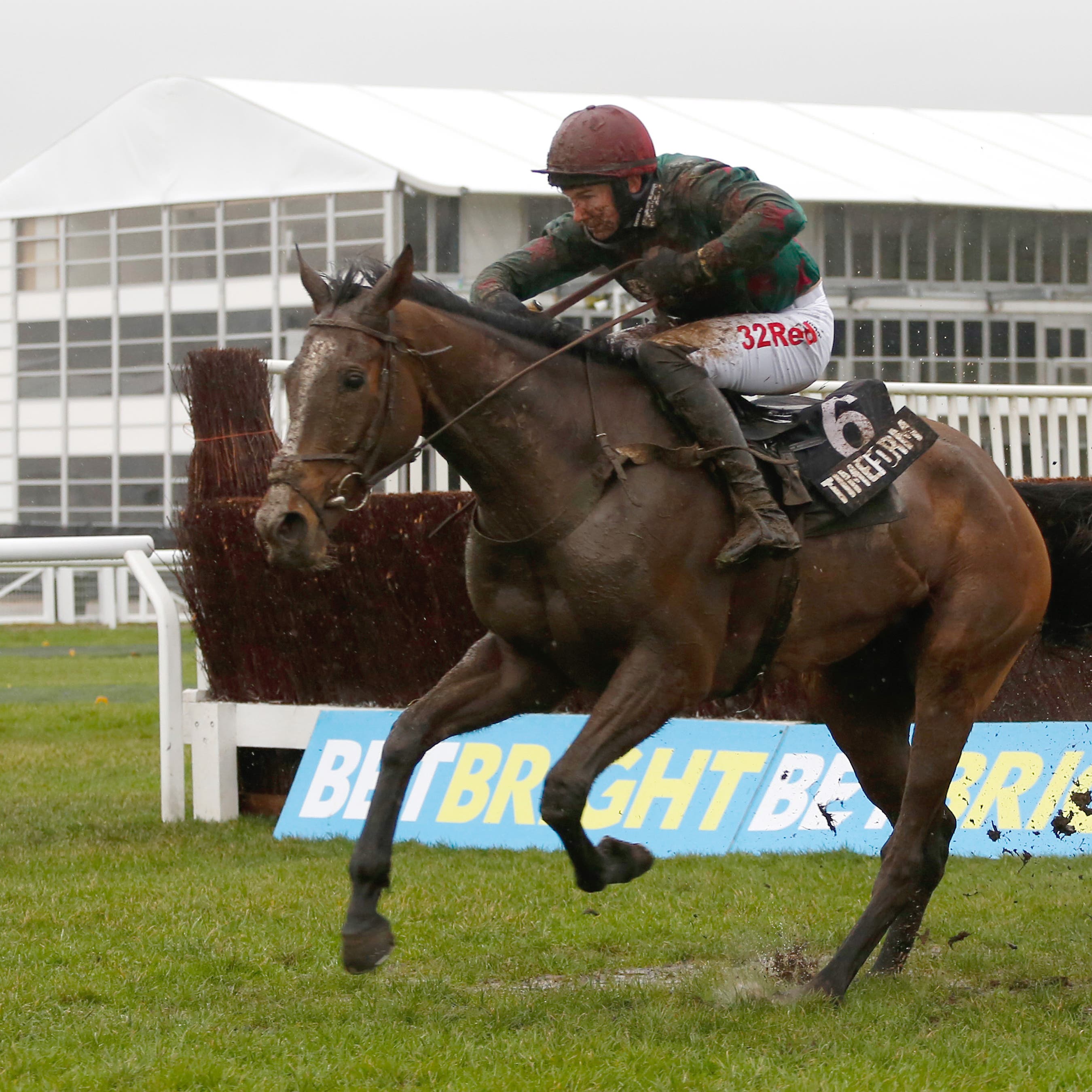 Mister Whitaker who could be stepped up to three miles in the Sky Bet Chase at Doncaster