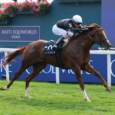 Ward ‘ready to go’ with Bacio for Breeders’ Cup Turf Sprint
