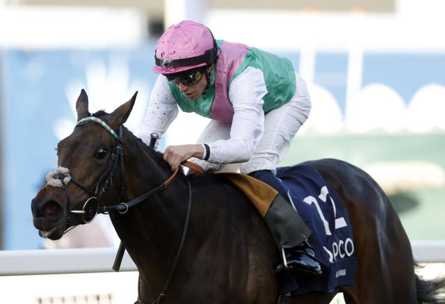 Kalpana winning on Qipco Champions Day at Ascot