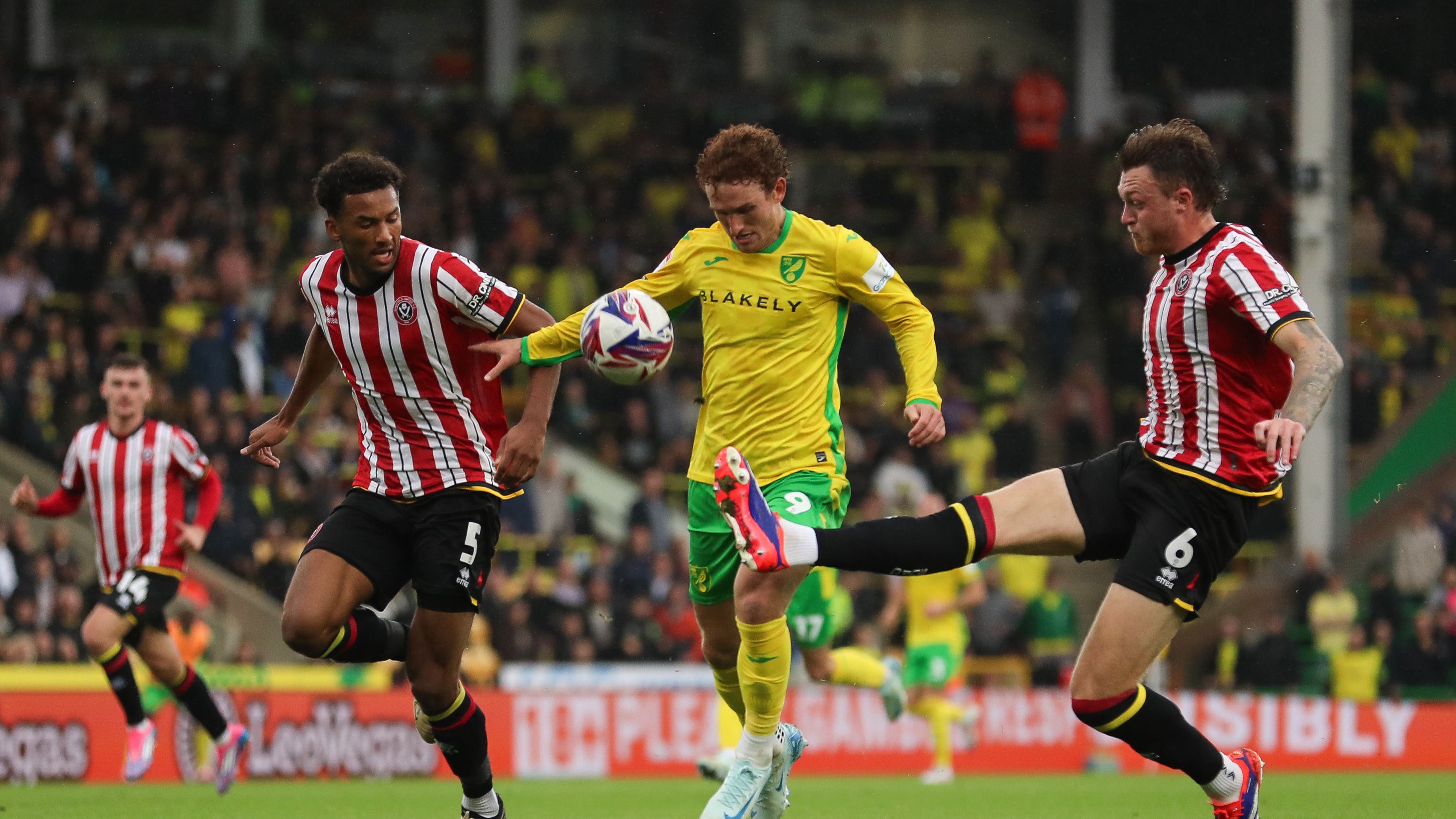 Josh Sargent (centre) opened the scoring as Norwich drew with Sheffield United (Rhianna Chadwick/PA)