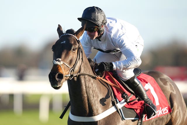 Constitution Hill winning the Ladbrokes Christmas Hurdle 