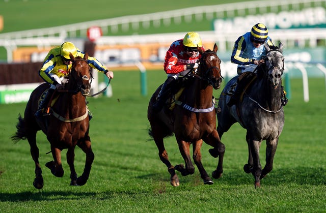 Scriptwriter ridden by jockey Paddy Brennan (white/red silks) on their way to winning the JCB Triumph Trial Juvenile Hurdle at Cheltenham 