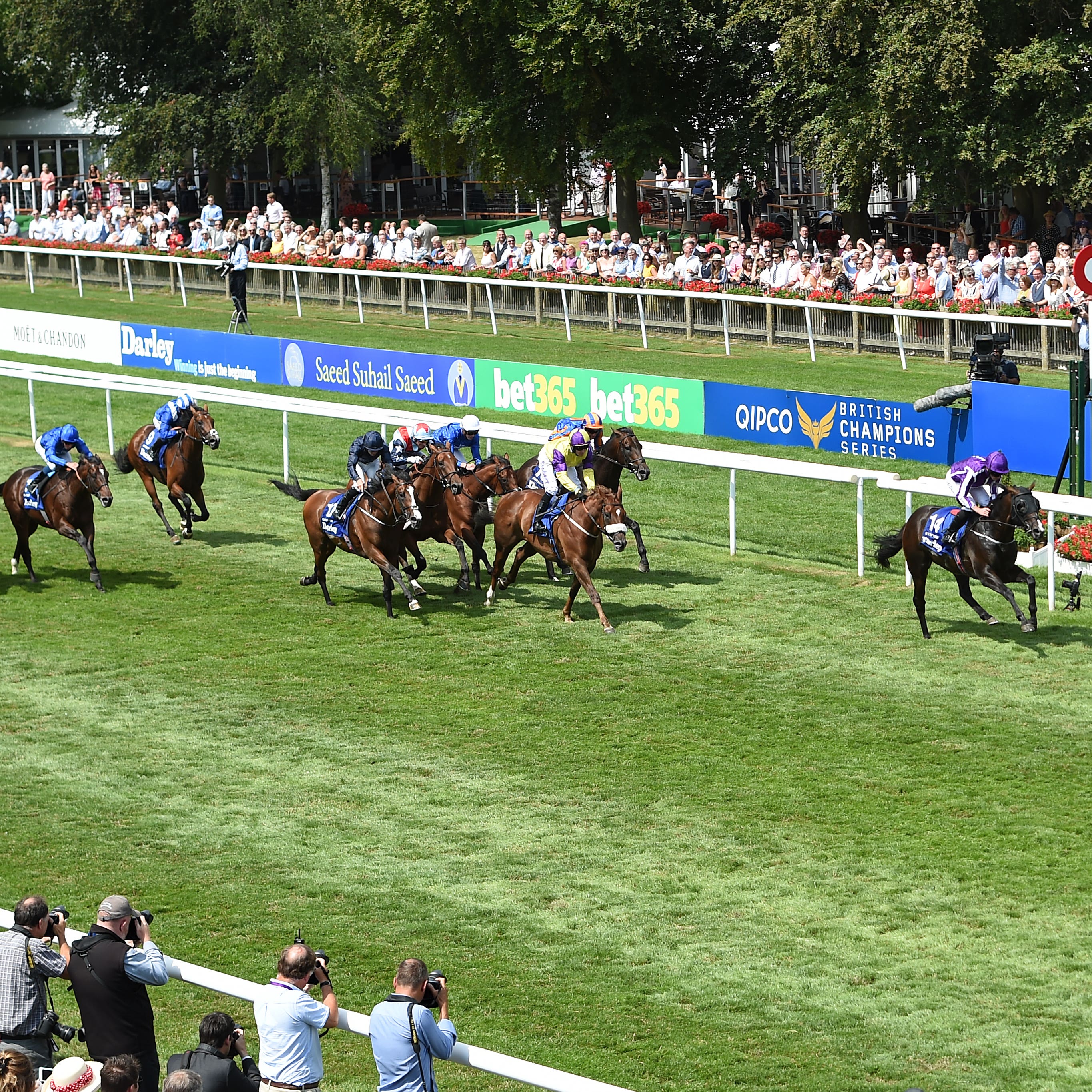 Brando (noseband) found only US Navy Flag too good in the July Cup