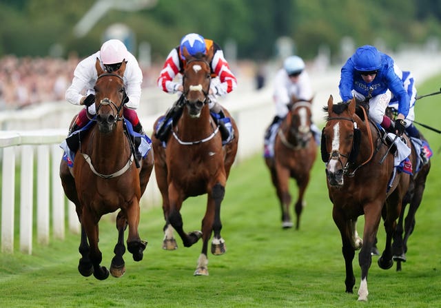 Absurde (left) finished fifth at Flemington