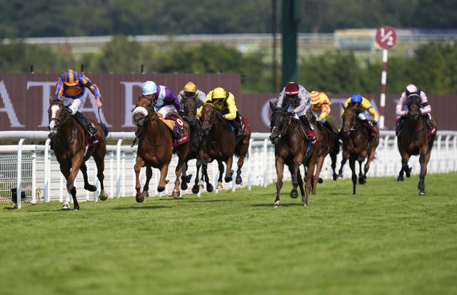 See The Fire (second left) in action in the Nassau Stakes 