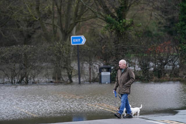 Man walks his dog next to a flooded river.