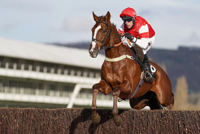 The Big Breakaway during his novice chasing career
