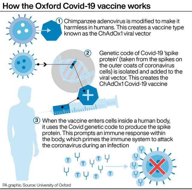 PA infographic showing how the Oxford Covid-19 vaccine works