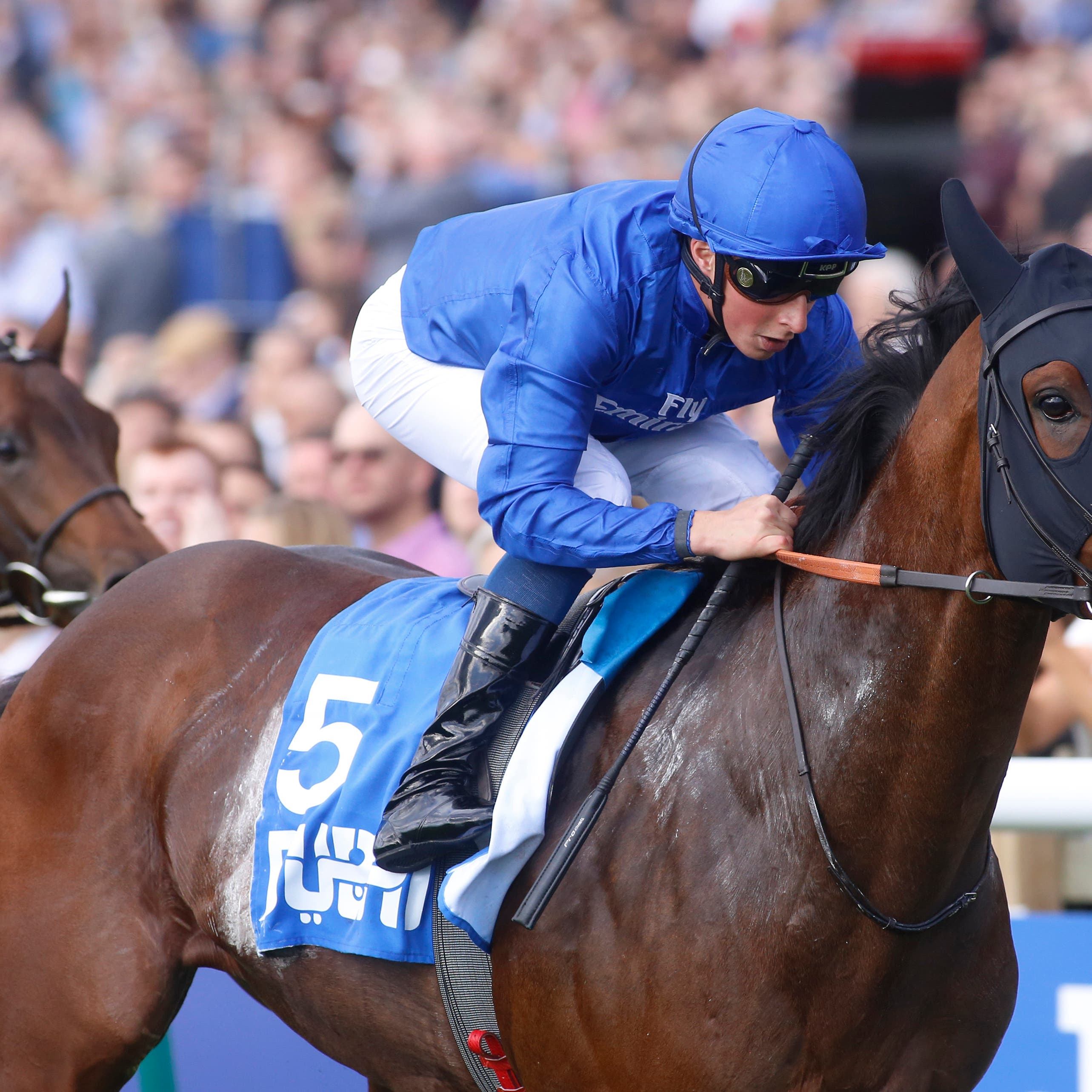 Ghaiyyath winning the Autumn Stakes