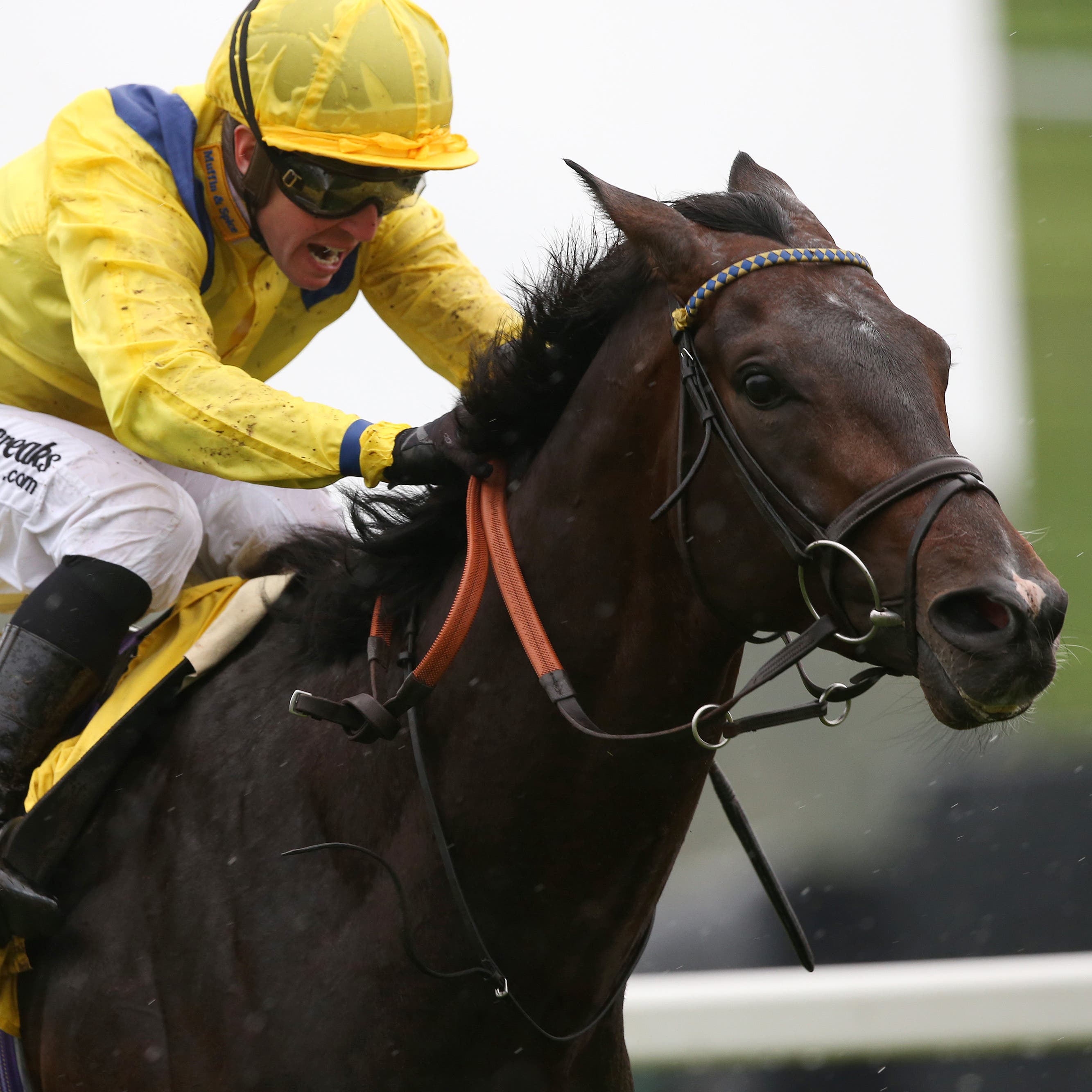 Young Rascal and Jim Crowley won the Dubai Duty Free Legacy Cup at Newbury