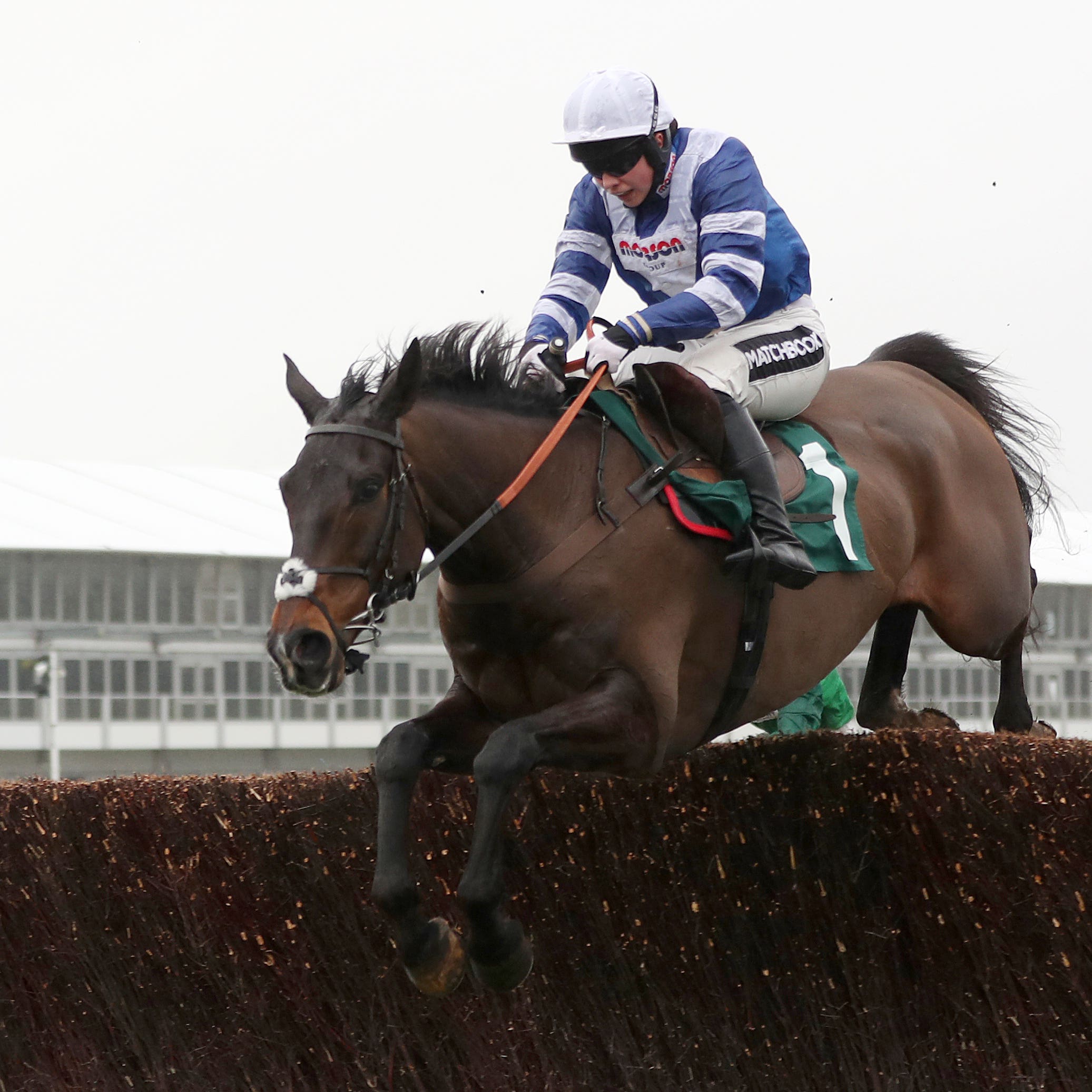 Frodon is a real Cheltenham specialist