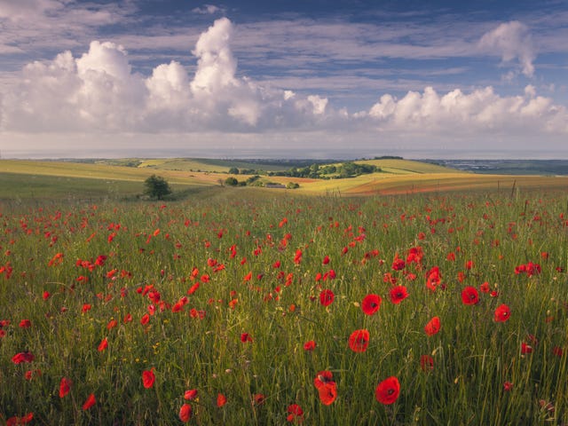 South Downs National Park’s annual photo competition