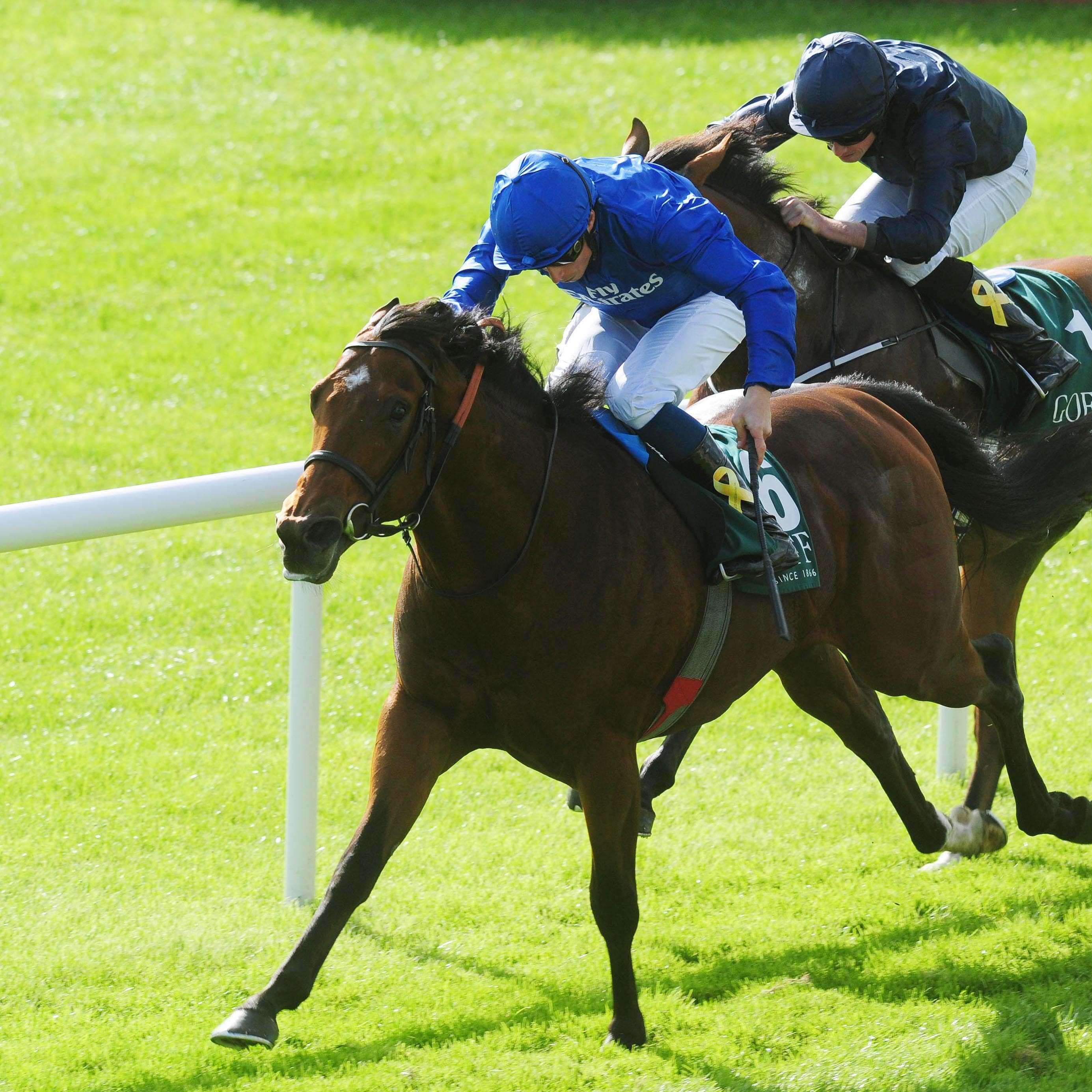 Quorto gets the better of Anthony Van Dyck