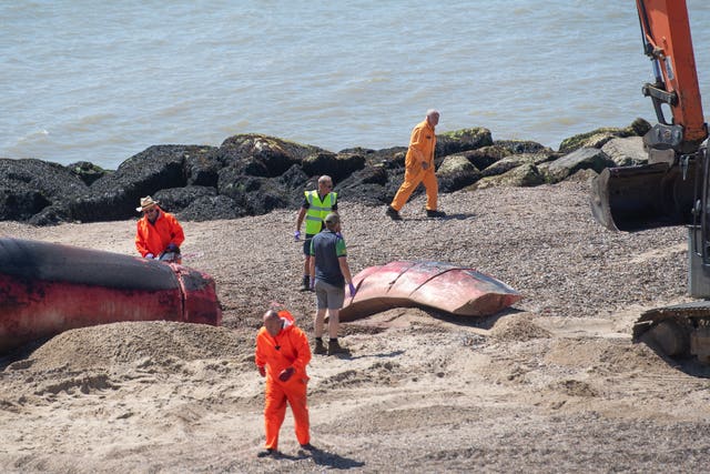 Whale washed up in Clacton