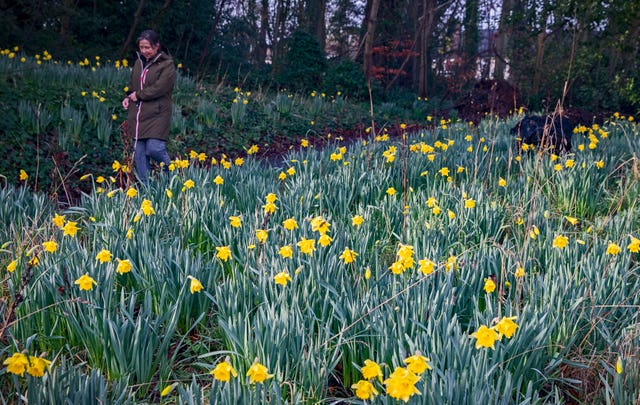 Spring is starting earlier due to climate change, it is claimed (Peter Byrne/PA)