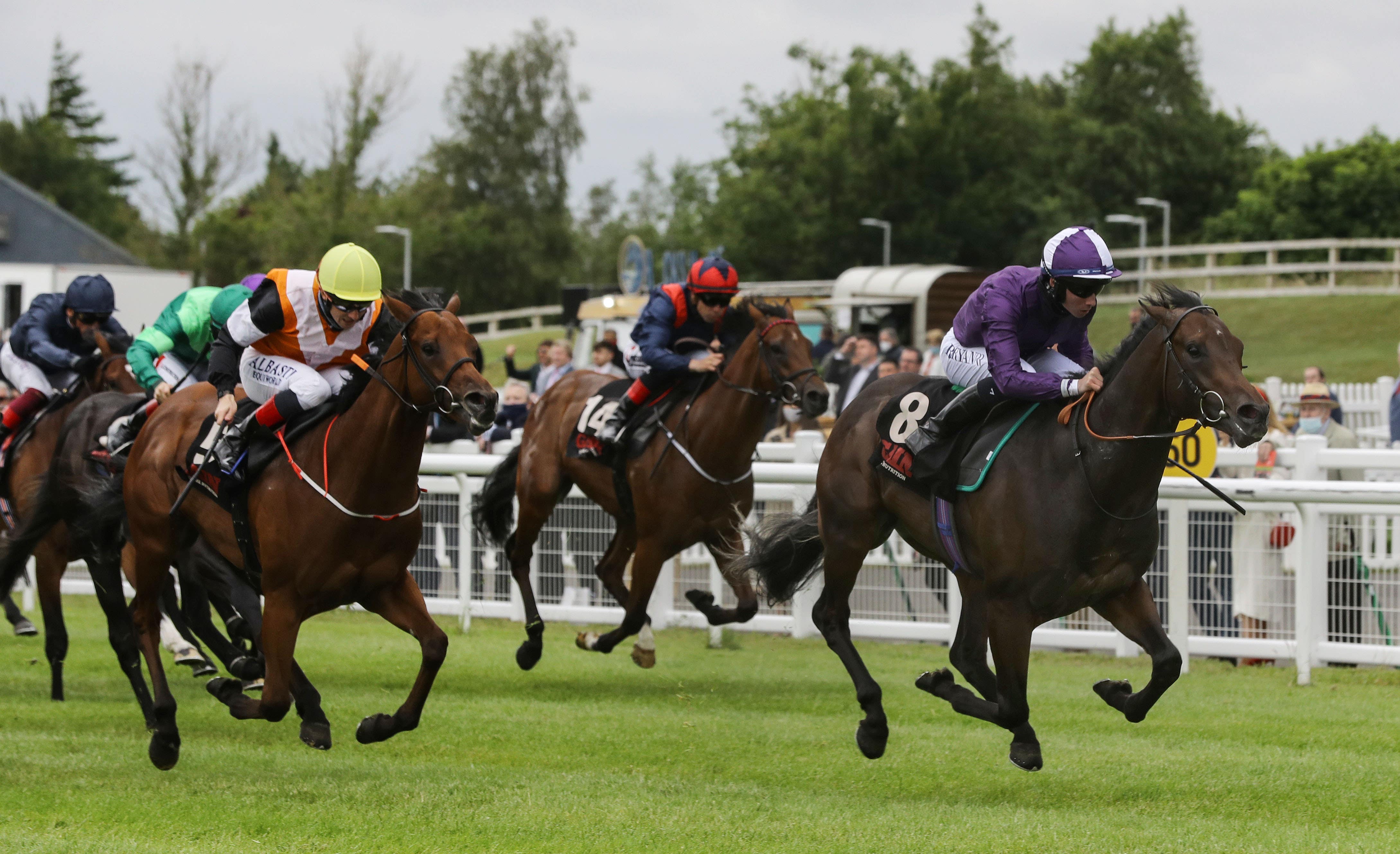 Thurles Racecourse Today's Results & Betting