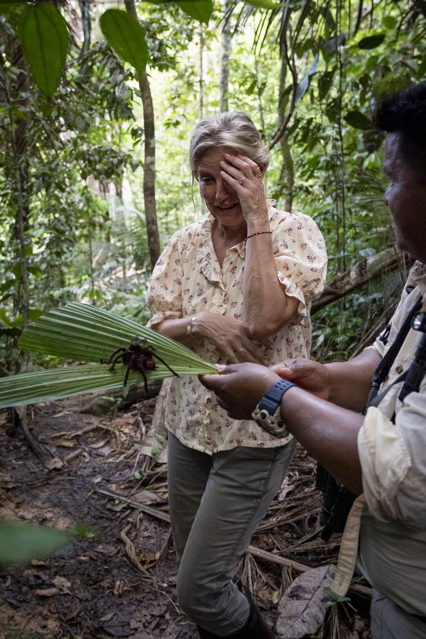 Sophie encounters ‘king of spiders’ on jungle trek in Peru South