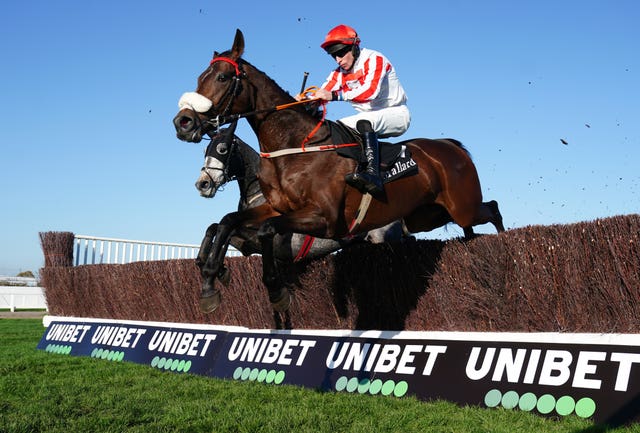 The Real Whacker was a winner at Cheltenham in November