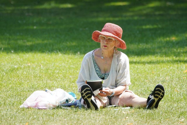 A person sunbathes in Richmond Green, south-west London