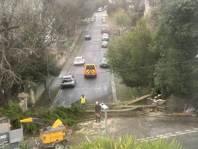 A fallen tree on a road in Weston-super-Mare