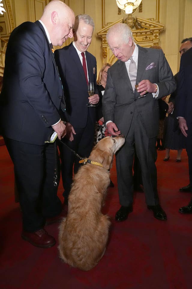 The King strokes the face of Liberal Democrat MP Steve Darling's golden retriever guide dog Jennie at Buckingham Palace 