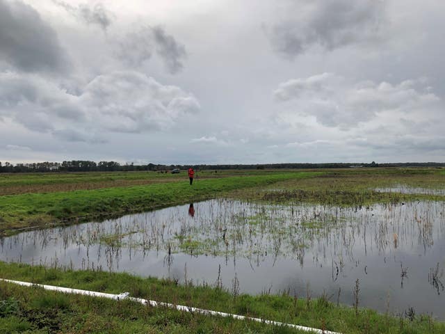 Peat farming