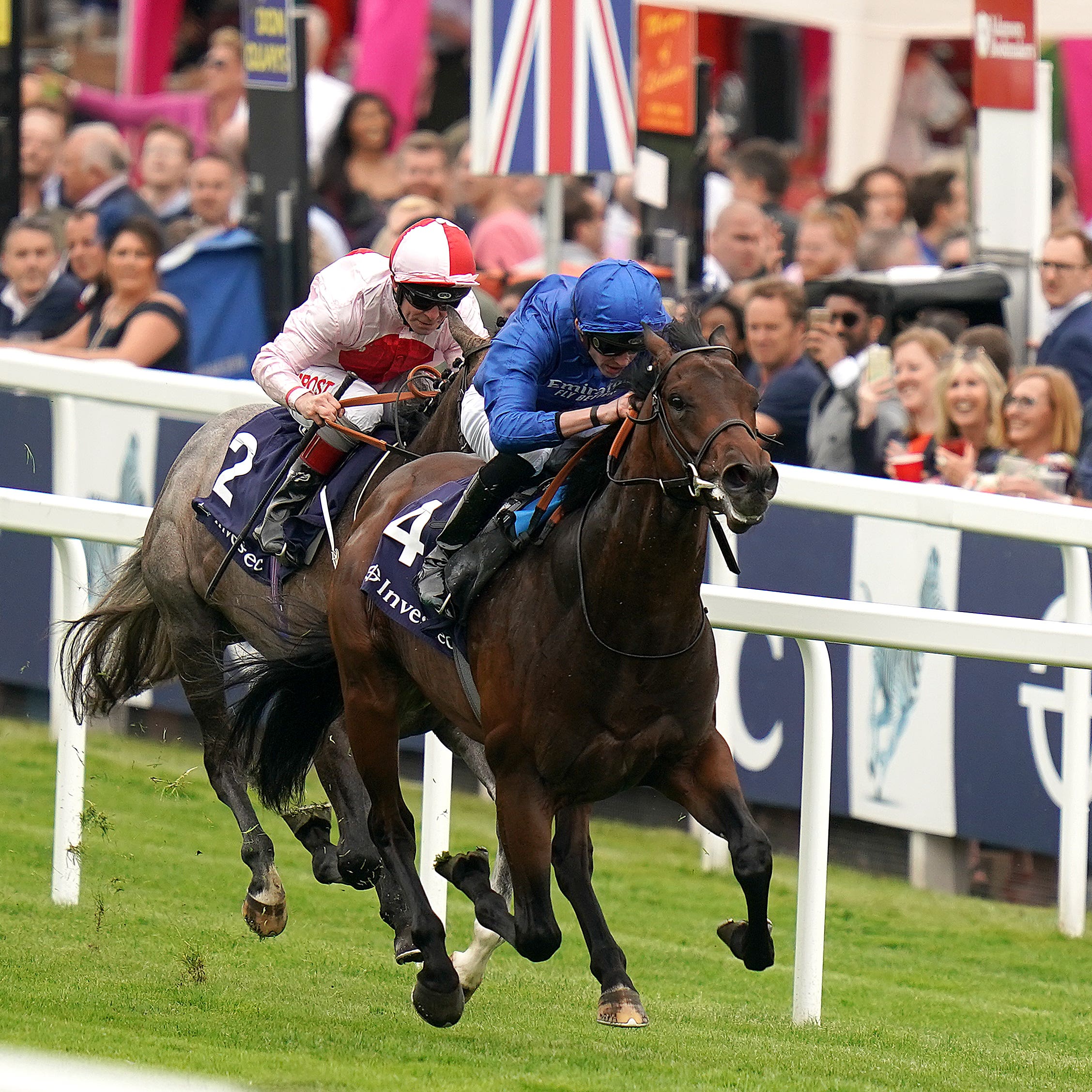 Pinatubo heads to Ascot unbeaten
