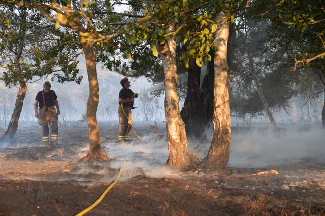 Suffolk coast wildfire