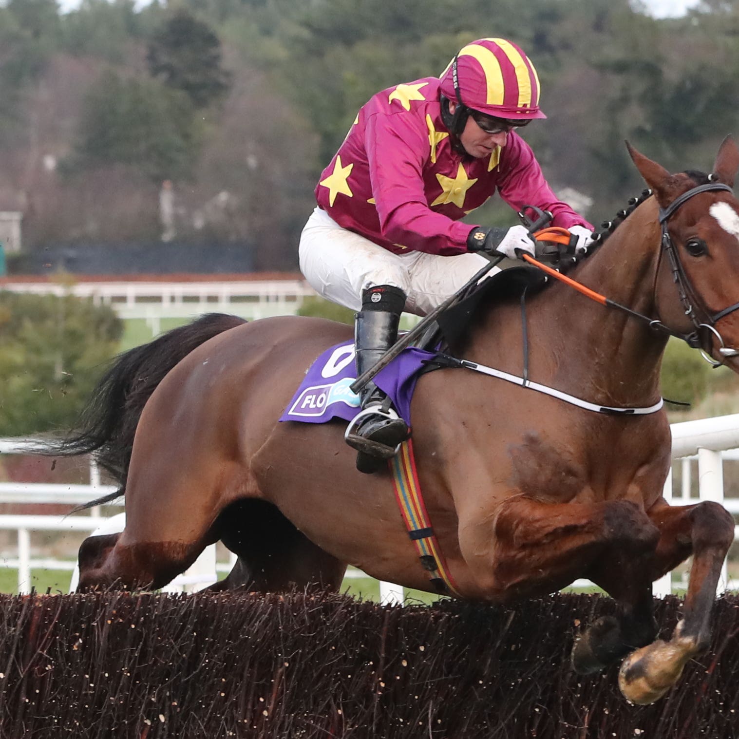 Monalee has a date at Leopardstown over Christmas