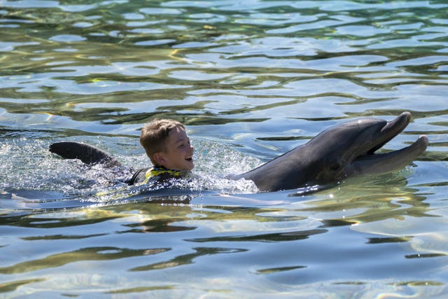Ashton Owen, 12, swims with a dolphin