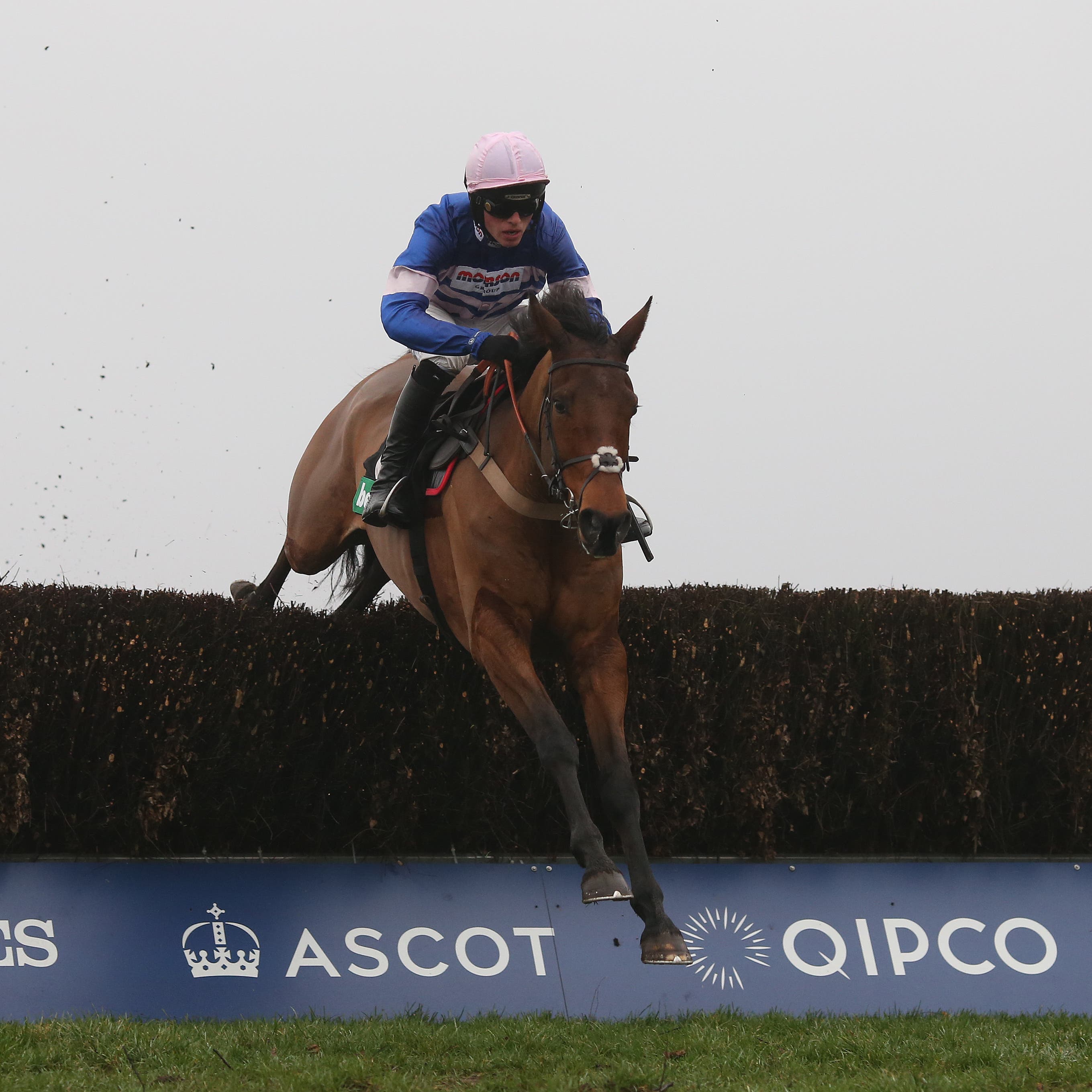 Cyrname was electric at Ascot last time out