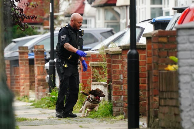 A sniffer dog searching near the stabbing scene
