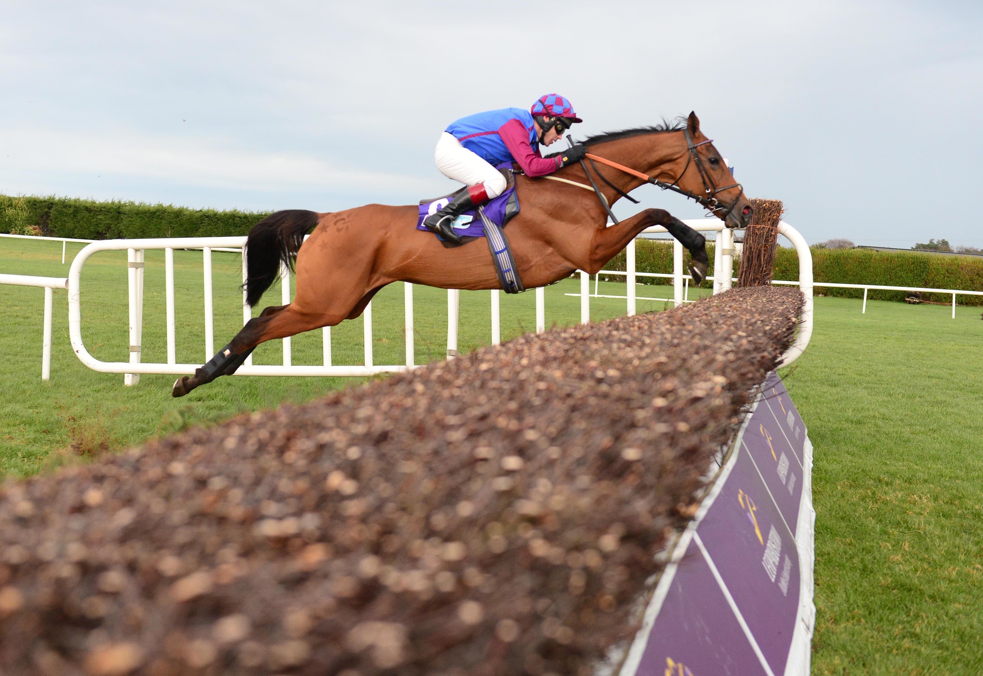 La bague au roi Clearance