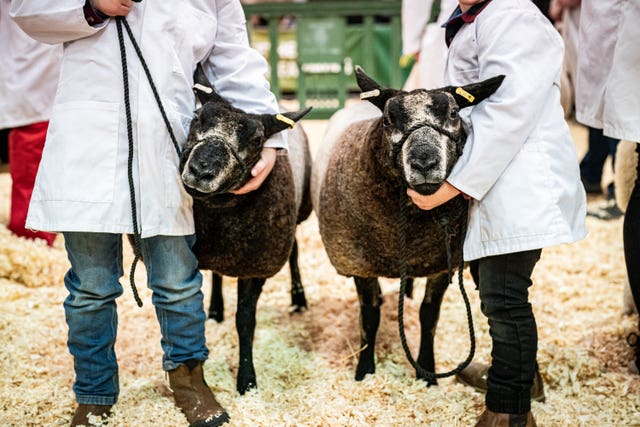 The Cornish Winter Fair