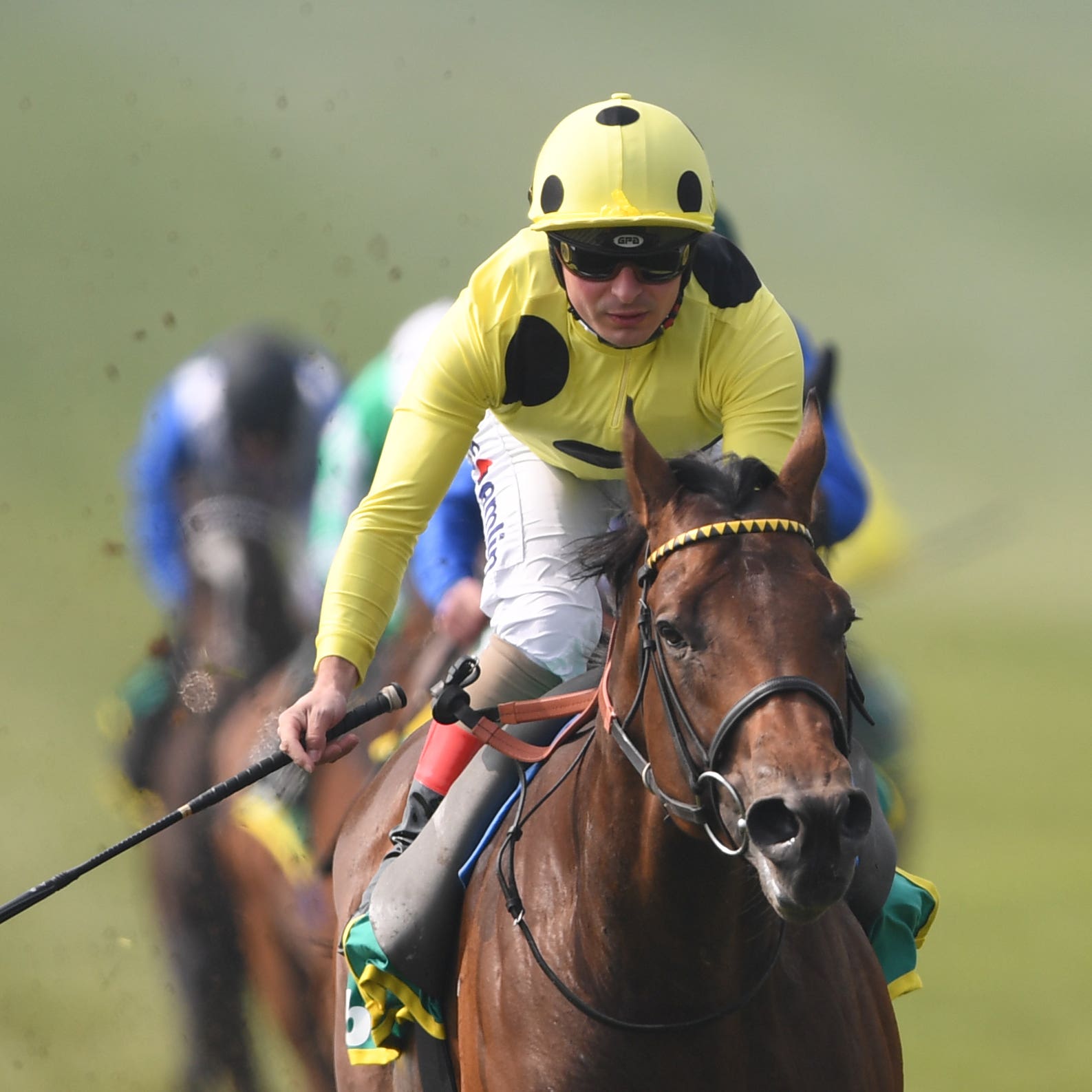 UAE Jewel impressed in winning at Newmarket