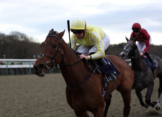 Oh So Grand winning the Winter Oaks at Lingfield