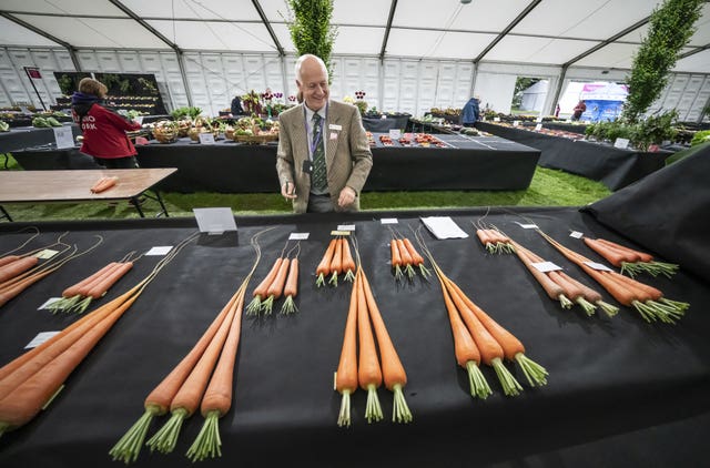 Harrogate Autumn Flower Show