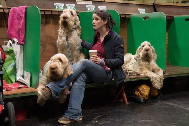 what day is terrier day at crufts 2019