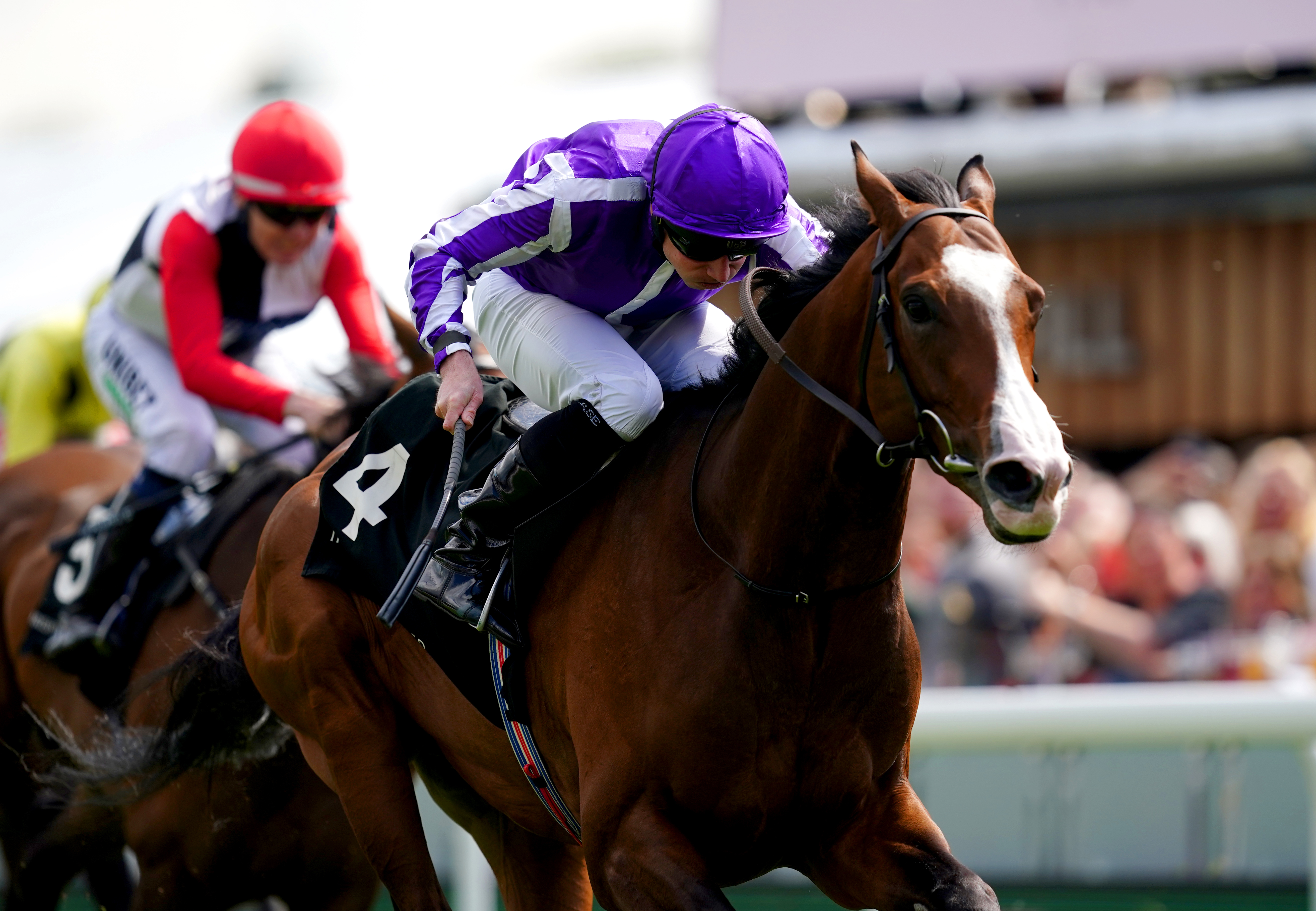 Point Lonsdale will be ridden by Ryan Moore in the Bahrain International Trophy