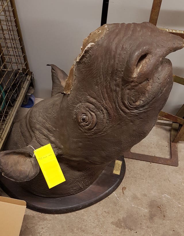 A rhino head