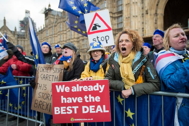 Brexit protesters