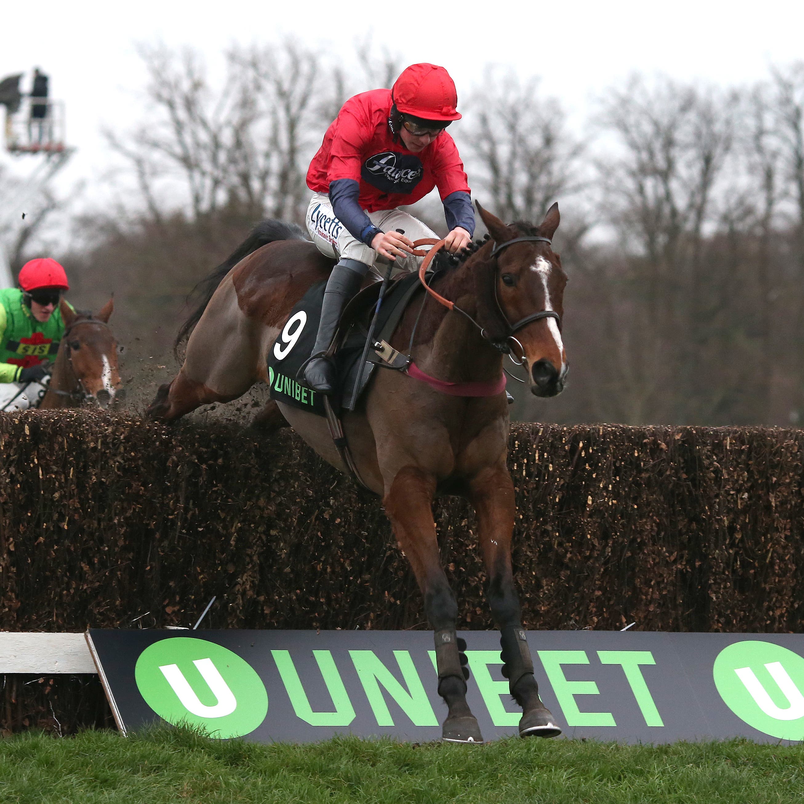 Houblon Des Obeaux and Charlie Deutsch clear the last fence before going on to win the Veterans' Final at Sandown