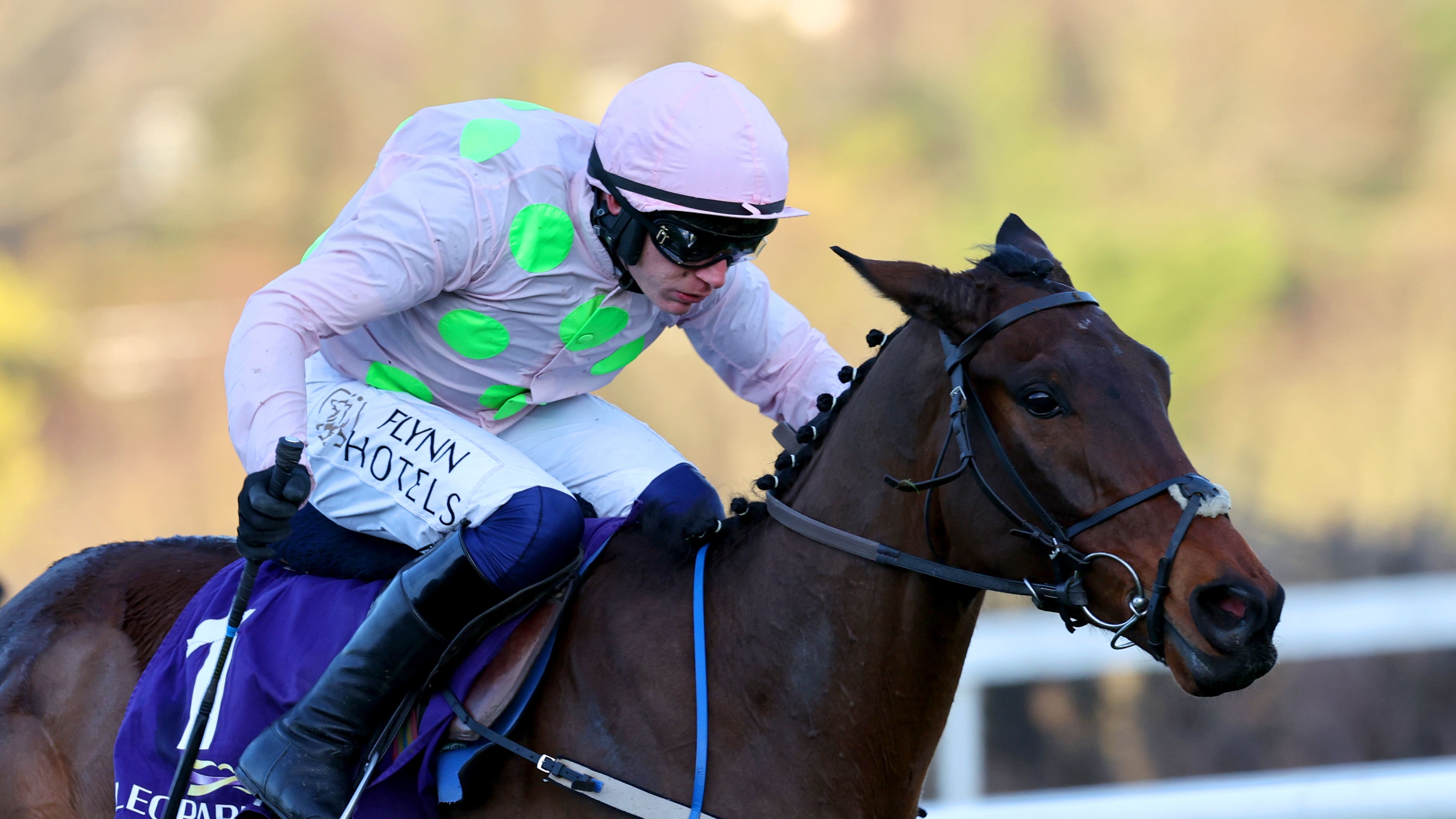 Mullins To Ponder Cheltenham Plans With Gaelic Warrior mullins-to-ponder-cheltenham-plans-with-gaelic-warrior