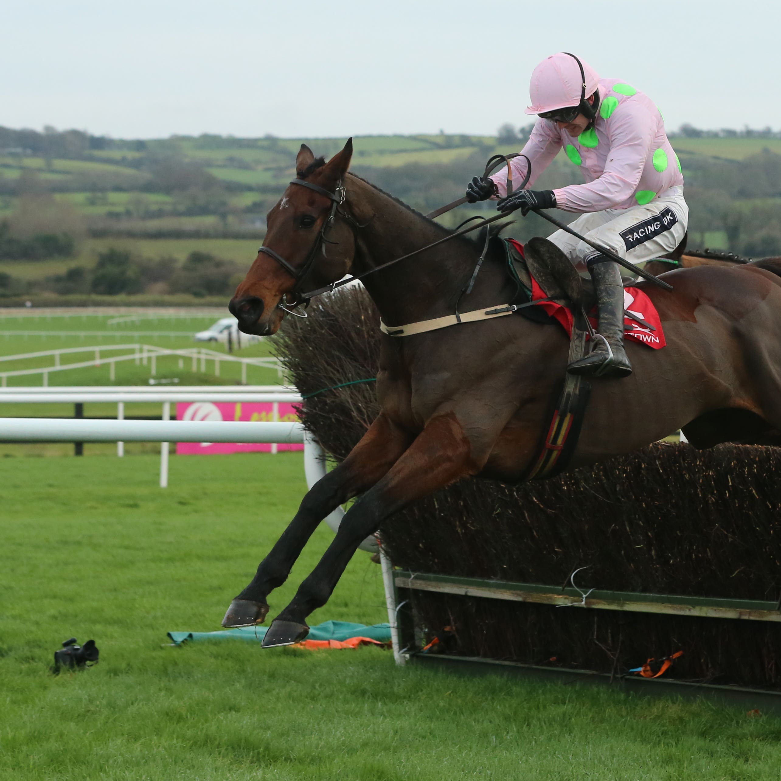 Djakadam heads back to his native France (Niall Carson/PA)